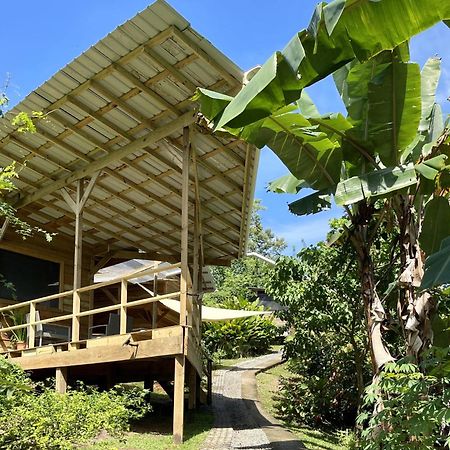 Eden Jungle Lodge Bocas del Toro Exterior foto
