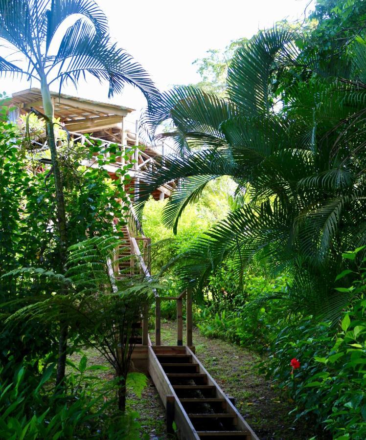 Eden Jungle Lodge Bocas del Toro Exterior foto