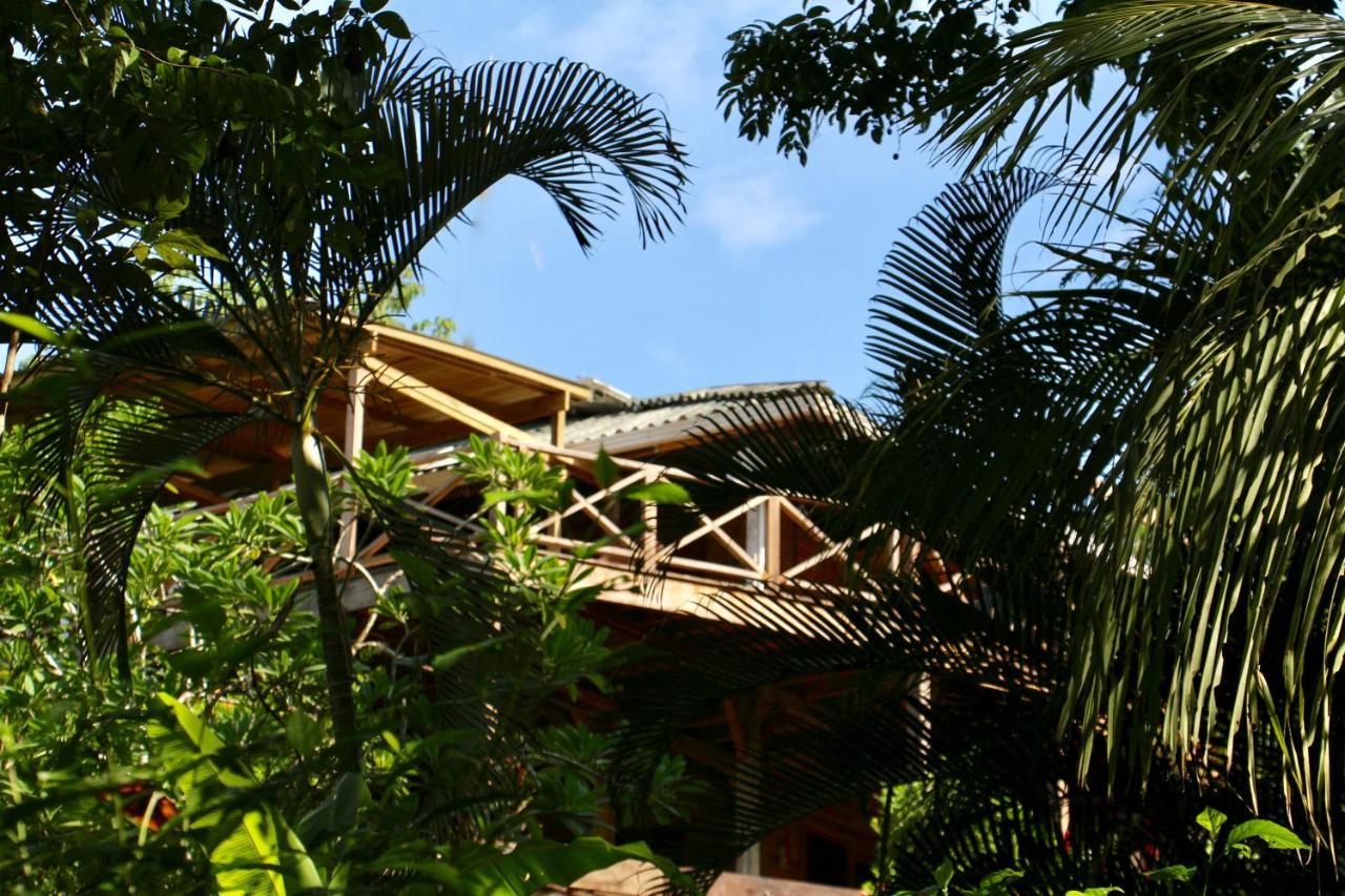 Eden Jungle Lodge Bocas del Toro Exterior foto