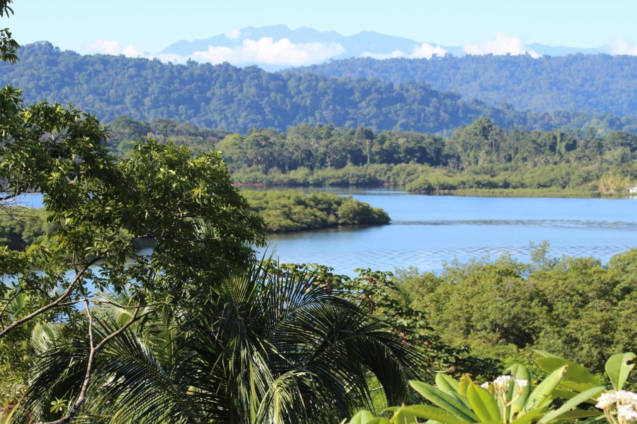 Eden Jungle Lodge Bocas del Toro Exterior foto